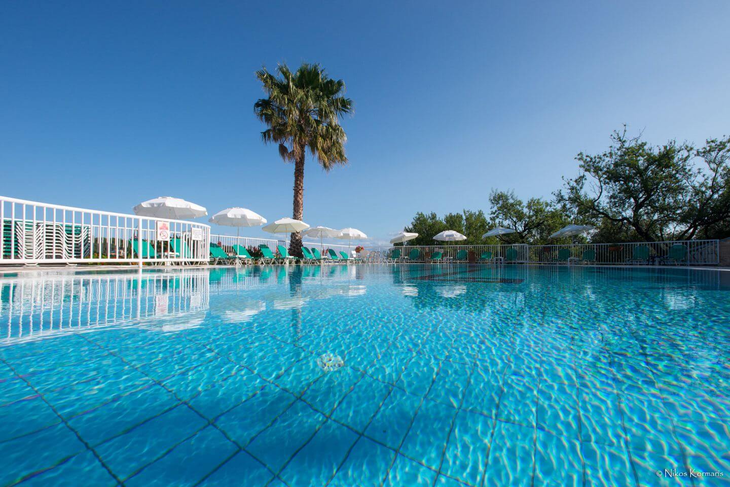 Pool and surrounding gardens